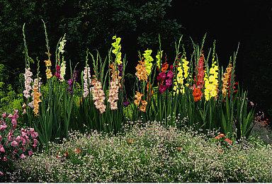 贸易游戏《Bootleg Steamer》公布 走私酒牟取暴利